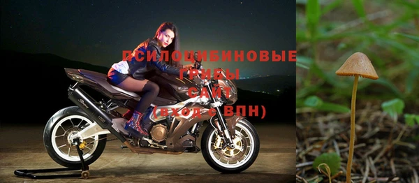 мяу мяу мука Краснослободск