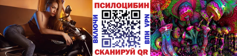 Галлюциногенные грибы прущие грибы  Устюжна 